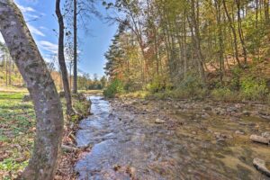 Mountain vacation cabin on the water or Creek near Boone NC