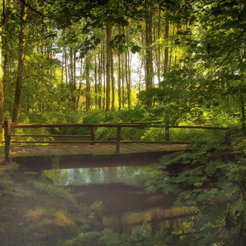 Hiking and walking trails near Fall Creek Cabins and Glamping